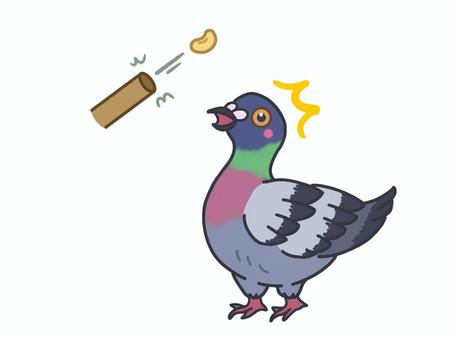 鳩が豆鉄砲を食ったよう 鳩,豆鉄砲,食らった,ことわざ,慣用句,びっくり,驚く,きょとん,あっけ,鳥のイラスト素材