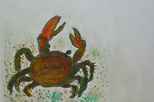 Illustration, crab, crustacean, gunting, 