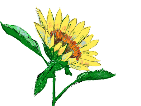 色鉛筆風ひまわり ひまわり,花,夏,黄色い,花びら,色鉛筆風のイラスト素材