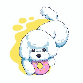 おもちゃを噛むトイプードル　背景色あり トイプードル,犬,おもちゃ,噛む,遊ぶ,白,かわいい,ドーナツ,もこもこ,動物のイラスト素材