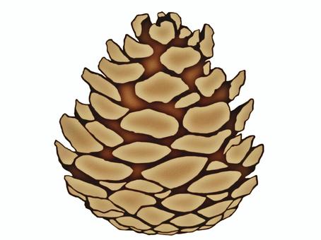 Pine cones, JPG and PNG Pine cones, , JPG and PNG