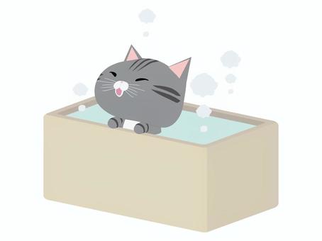 お風呂に入る笑顔のさばとら猫 お風呂,猫,さばとら,笑顔,動物,かわいい,入浴のイラスト素材