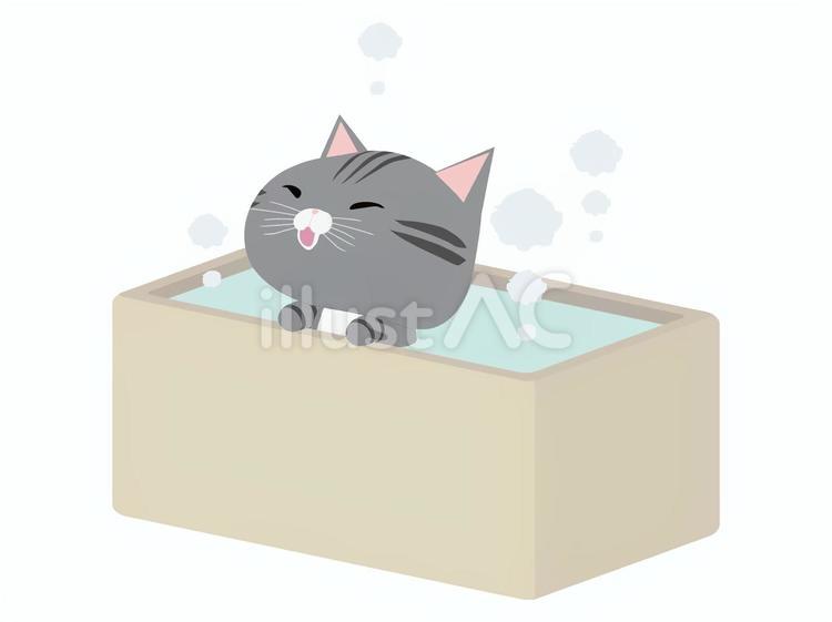 お風呂に入る笑顔のさばとら猫 お風呂,猫,さばとらのイラスト素材