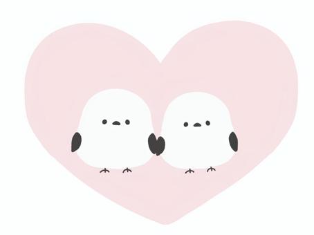 シマエナガ　カップル シマエナガ,鳥,小鳥,かわいい,手書き,手描き,シンプル,カップル,夫婦,ハートのイラスト素材