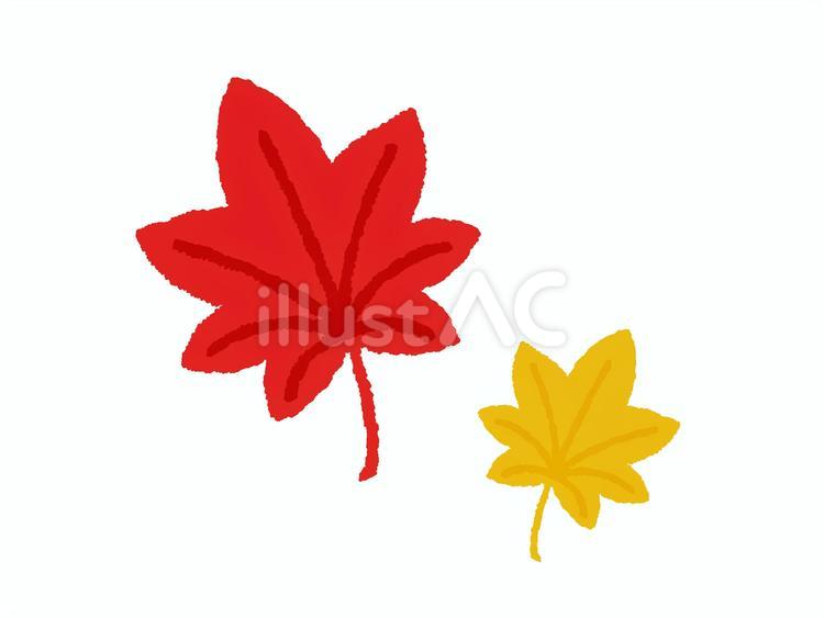 手書き風の紅葉 紅葉,落ち葉,秋のイラスト素材