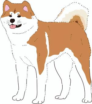 秋田犬 秋田犬,犬,動物,舌,茶色,もふもふ,可愛い,日本,ヒゲ,つぶらのイラスト素材