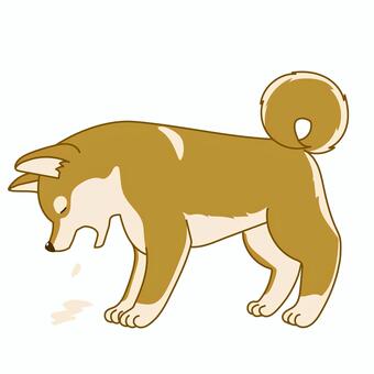 かわいい柴犬のシンプルイラスト吐き戻し 犬,ペット,柴犬,手描き,横向,かわいい,アクション,アニマル,挿絵,カット絵のイラスト素材