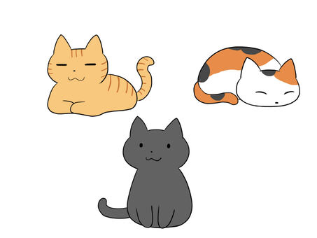 Three cats, gatto, gatto, un gatto, JPG and PNG