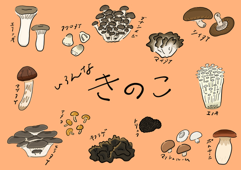 いろんなきのこ＿ベクターイラスト きのこ,手書き,手作り,ゆるい,シンプル,おしゃれ,手描き,食育,四季,季節のイラスト素材