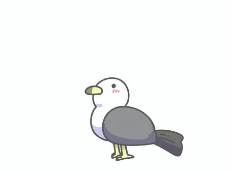 うみねこ うみねこ,海,鳥,鳥類,海水浴,水中,かわいい,ポップ,デフォルメ,キュートのイラスト素材
