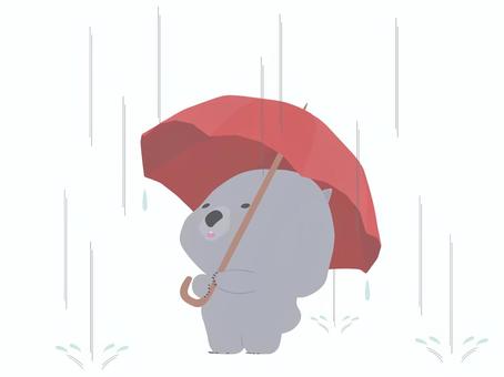 雨袋熊, , JPG, PNG 和 AI