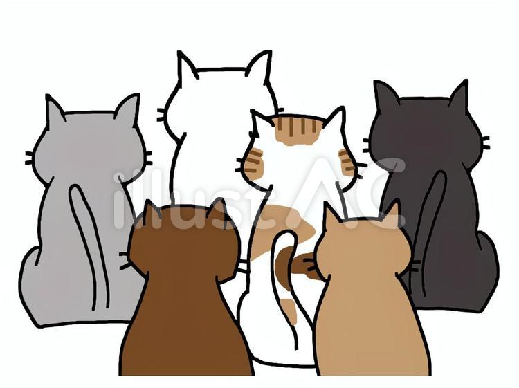猫の集会　後姿 猫,整列,後姿のイラスト素材