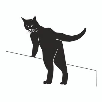 Cat 2 (black) standing up, cat, caught, go up the step, JPG and PNG