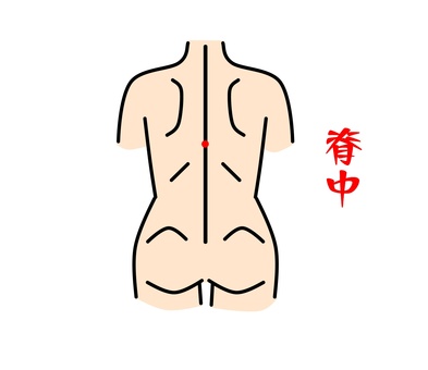 脊中 鍼灸,ツボ,経穴,健康,東洋医学,脊中のイラスト素材