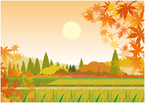 秋の紅葉 秋,紅葉,10月,田舎,森林,自然のイラスト素材