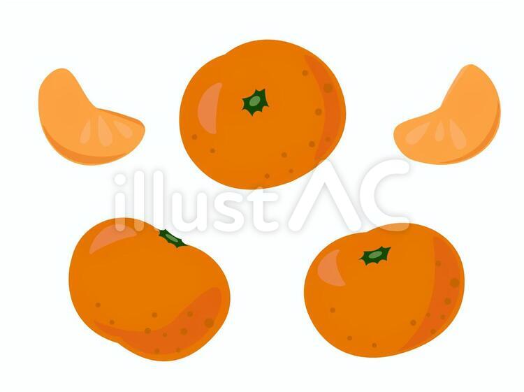 みかん ミカン,オレンジ,食べもののイラスト素材