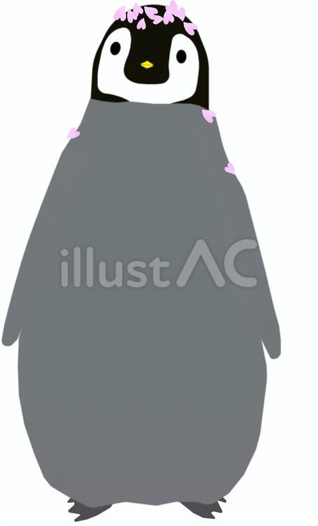 桜の中で立っている皇帝ペンギンのヒナ 動物,鳥,ペンギンのイラスト素材