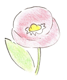 花 かわいい