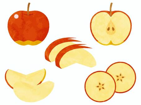 赤リンゴ　イラストセット_水彩風 リンゴ,赤リンゴ,果物,食べ物,断面,半分,くし切り,くし形,輪切り,スターカットのイラスト素材