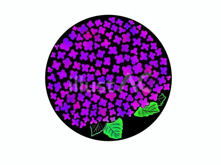 あじさい(紫)　切り絵風 あじさい,花,紫のイラスト素材