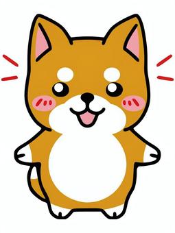 柴犬＿赤柴＿発見 動物,犬,柴犬,赤柴,かわいい,キャラクター,発見,見つける,見つけた,うきうきのイラスト素材