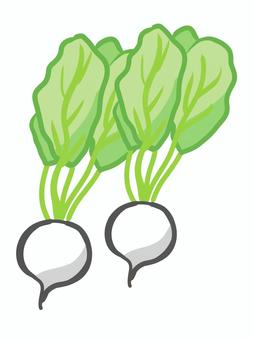 カブシンプル１ カブ,食べ物,野菜,葉,シンプル,おいしい,かわいいのイラスト素材