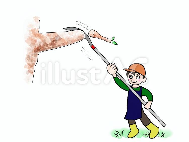 高枝のこぎりの高所の枝切り 高枝,のこぎり,剪定のイラスト素材