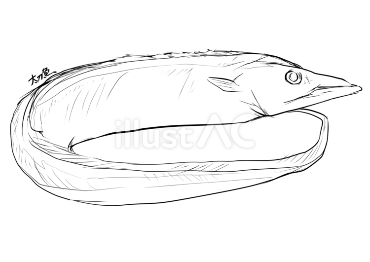 たちうお 魚,たちうお,塗り絵のイラスト素材