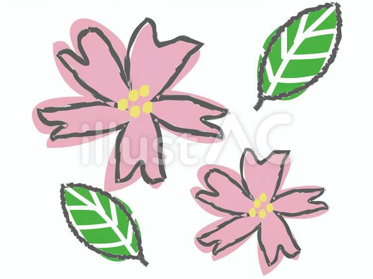 桜 花,植物,自然のイラスト素材
