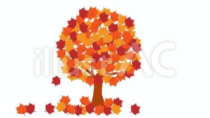 紅葉した木