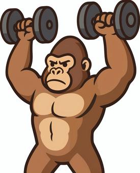 ショルダープレスするゴリラ ゴリラ,筋トレ,筋肉,ダンベル,バーベル,ジム,トレーニング,トレーニー,ムキムキ,ショルダープレスのイラスト素材