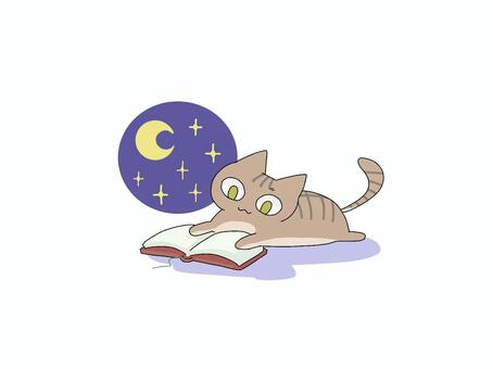 読書で秋の夜長を楽しむ猫イラスト　茶トラ 猫,動物,読書,夜,月,星,秋,9月,10月,11月のイラスト素材