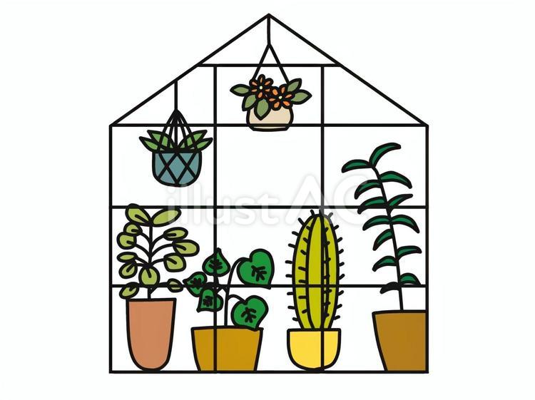 温室 温室,植物,観葉植物のイラスト素材