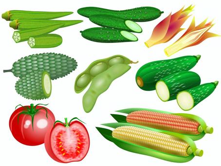 Illustration, овощи, летом, окра, 