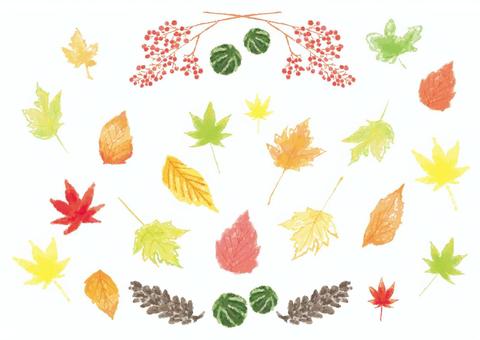 もみじ_フレーム22A もみじ,秋,落ち葉,水彩,松ぼっくりのイラスト素材