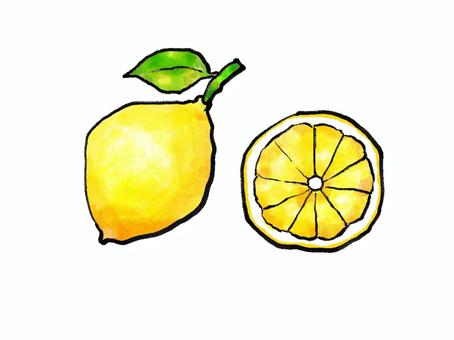 和風葉っぱ付きレモンのイラスト レモン,夏,檸檬,果物,水彩,柑橘類,和風,筆,食べ物,フルーツのイラスト素材