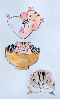 Illustration, hamster, ネズミ科, a pet, 