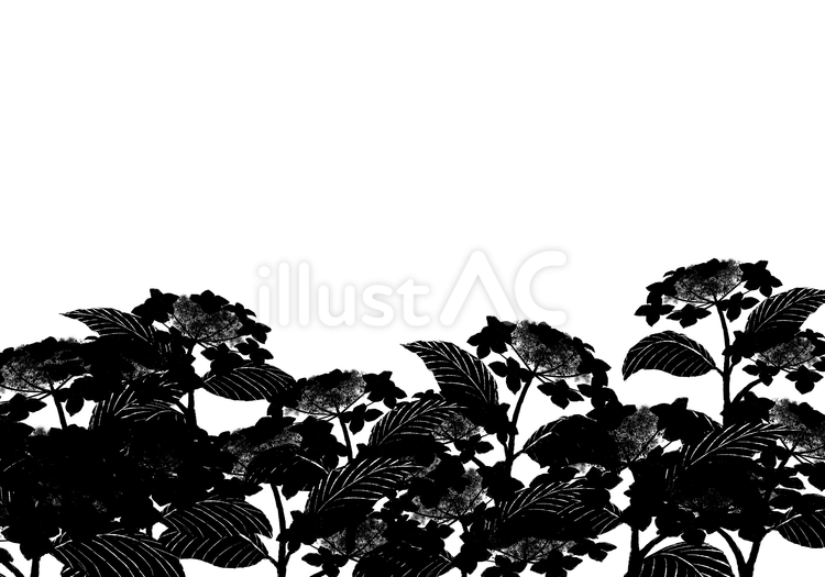がくあじさいの影の背景（背景透過） アジサイ,紫陽花,あじさいのイラスト素材