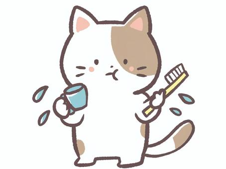 歯磨きでうがいする猫 歯磨き,歯ブラシ,コップ,うがい,猫,動物,哺乳類,生き物,かわいい,歯医者のイラスト素材