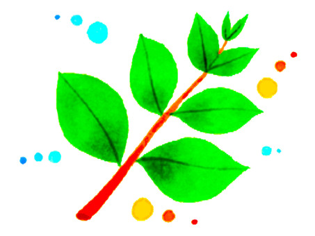 Illustration, JPG and PNG Illustration, plant, foliage plant, green, JPG and PNG