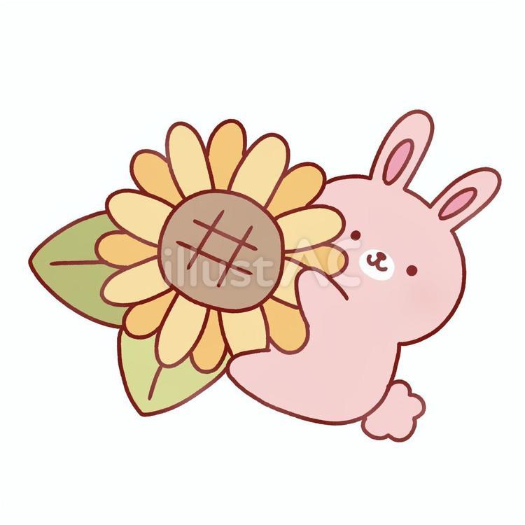うさぎと向日葵 向日葵,うさぎ,花のイラスト素材