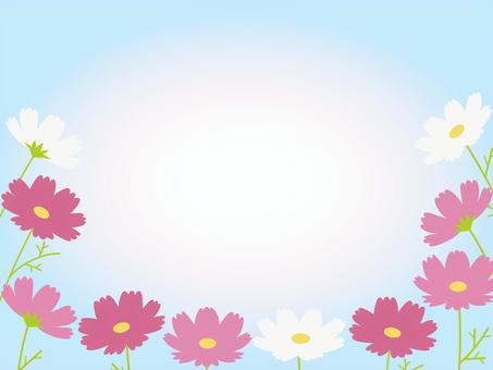 コスモスフレーム/ブルー シンプル,ベクター,コスモス,花,ポスター,素材,9月,10月,11月,華やかのイラスト素材