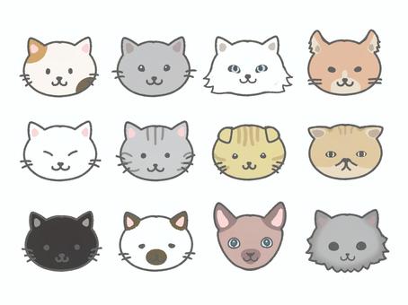 様々な猫のカラフルなイラストセット 猫,三毛猫,アメリカンショートヘア,シャム猫,ペット,動物のイラスト素材