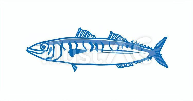 さば 魚,焼魚,秋の魚のイラスト素材
