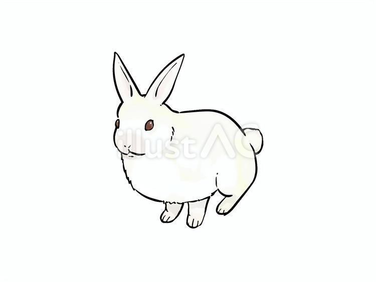 うさぎのイラスト うさぎ,卯,干支のイラスト素材