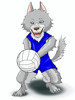 Volleyball Wolf 2, sports, volleyball, animal, JPG