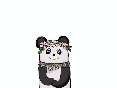 Panda, JPG and PNG Panda, panda, plumeria, southern country, JPG and PNG