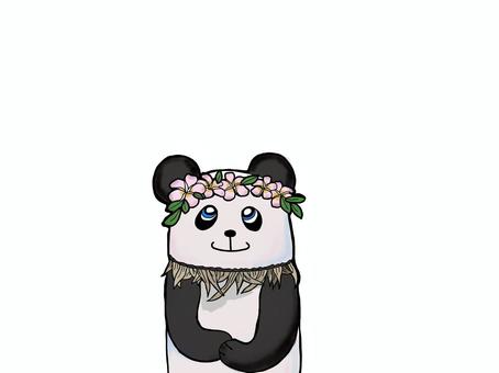 Panda, panda, plumeria, southern country, JPG and PNG