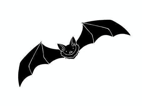 飛ぶコウモリの白黒イラスト（白フチあり） コウモリ,飛ぶ,白黒,黒,白フチ,正面,シンプル,手書き,簡単,動物のイラスト素材