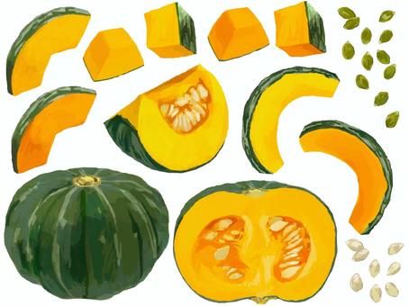 リアルすぎないかぼちゃセット 食べ物,野菜,かぼちゃ,冬,かぼちゃの種,断面,カットのイラスト素材